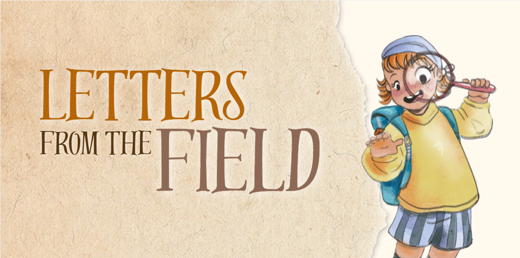 The Honest Reason Behind Letters From the Field